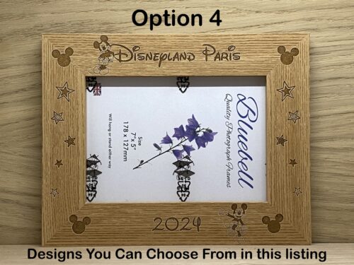 Paris or Florida Micky Ears Holiday Photo Frames - Image 5