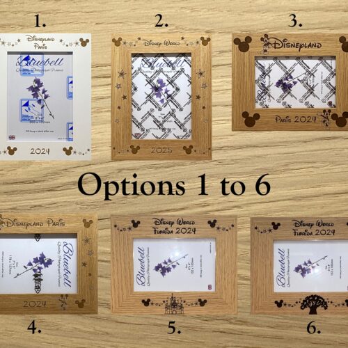 Paris or Florida Micky Ears Holiday Photo Frames